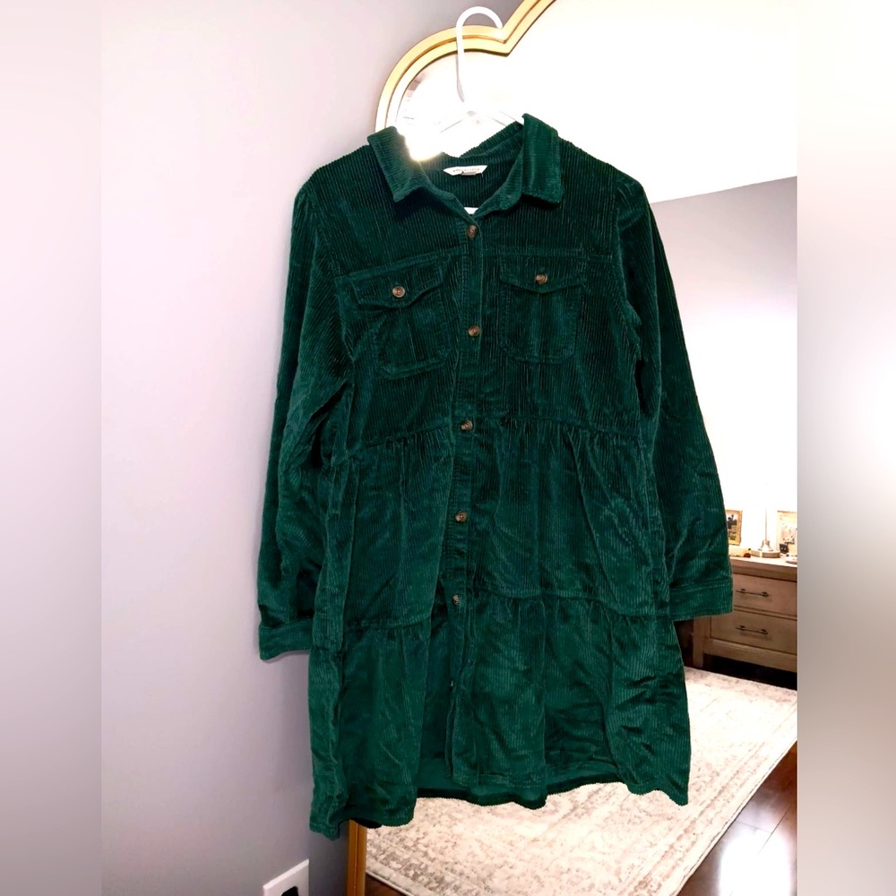 Long sleeved NEVER WORN American Eagle dress